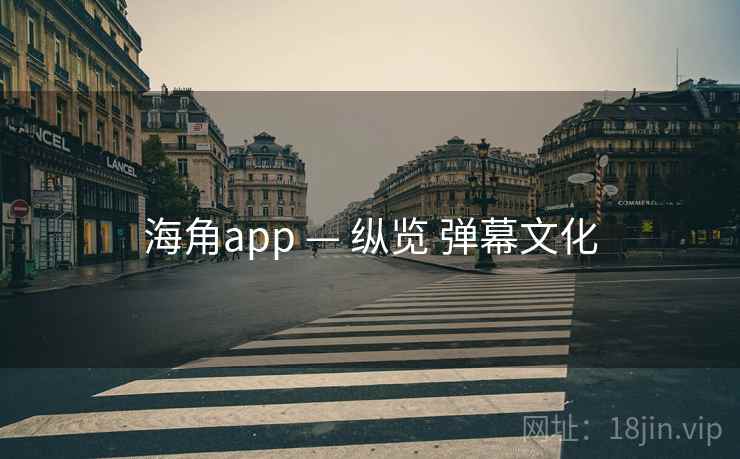 海角app — 纵览 弹幕文化 海角app — 纵览 弹幕文化