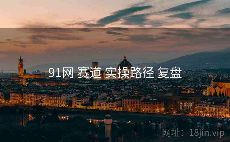 91网 赛道 实操路径 复盘