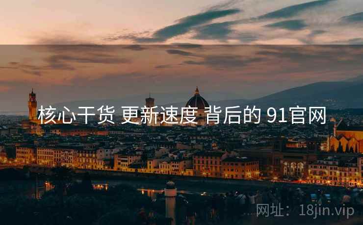 核心干货 更新速度 背后的 91官网