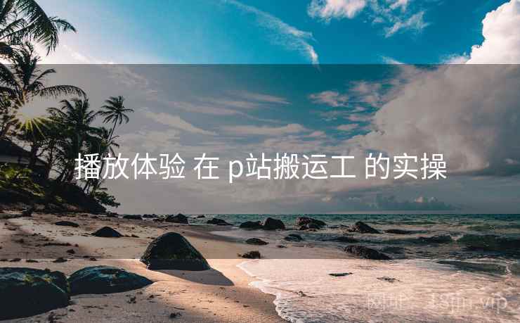 播放体验 在 p站搬运工 的实操