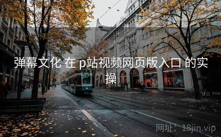弹幕文化 在 p站视频网页版入口 的实操 弹幕文化 在 p站视频网页版入口 的实操