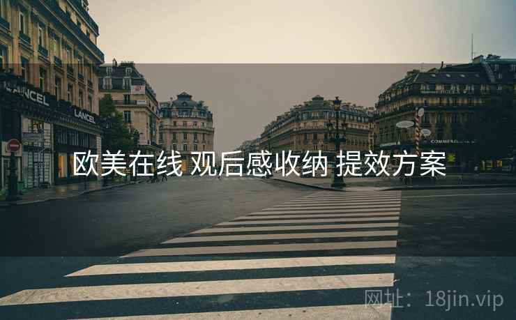 欧美在线 观后感收纳 提效方案