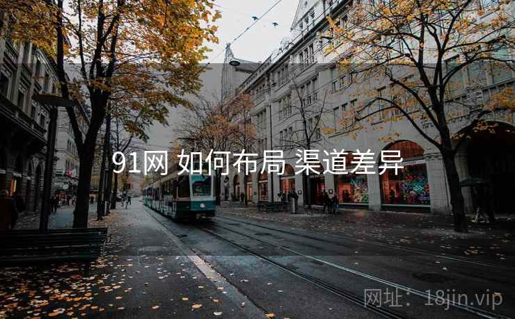 91网 如何布局 渠道差异 91网 如何布局 渠道差异